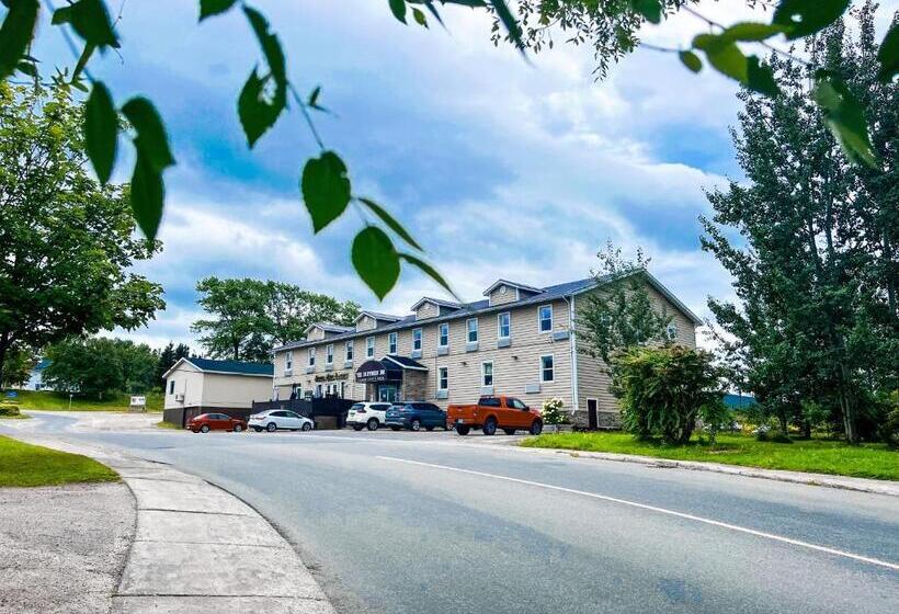 فندق صغير Driftwood Inn