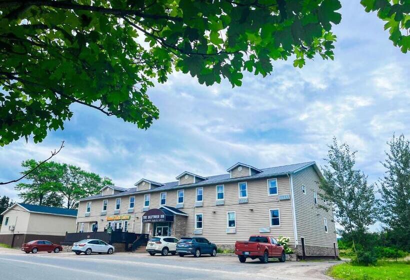 فندق صغير Driftwood Inn