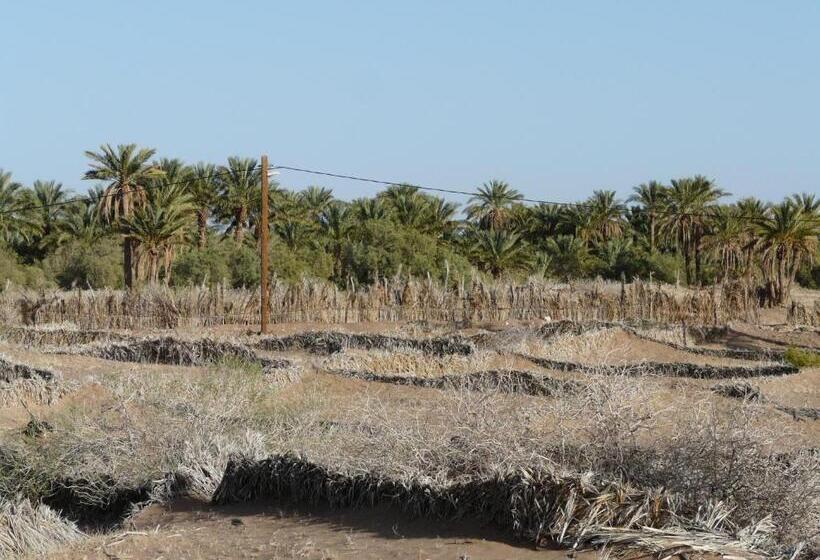 민박 Dar Nakhla Zagora Guest House