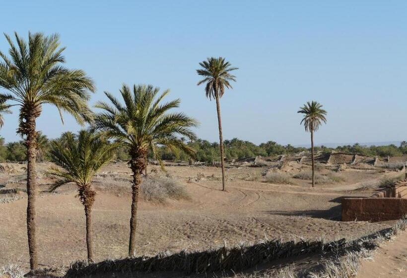 민박 Dar Nakhla Zagora Guest House