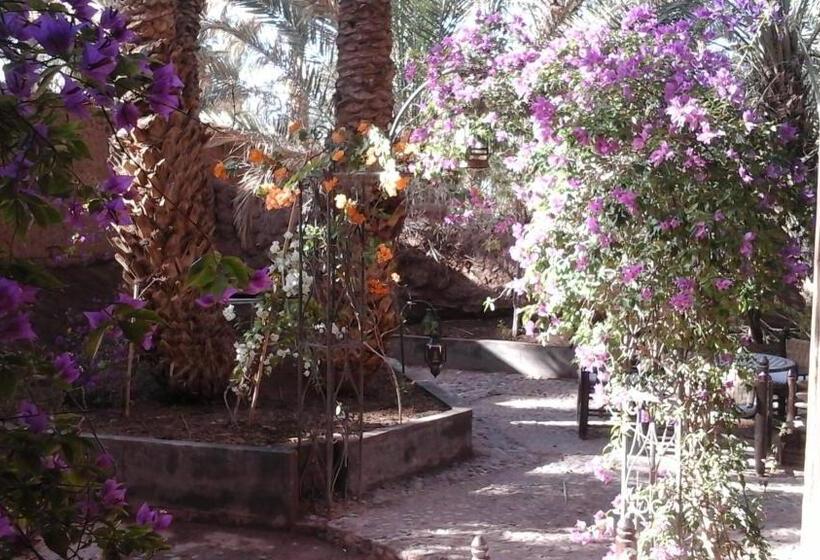 تختخواب و صبحانه Dar Nakhla   Zagora Guest House