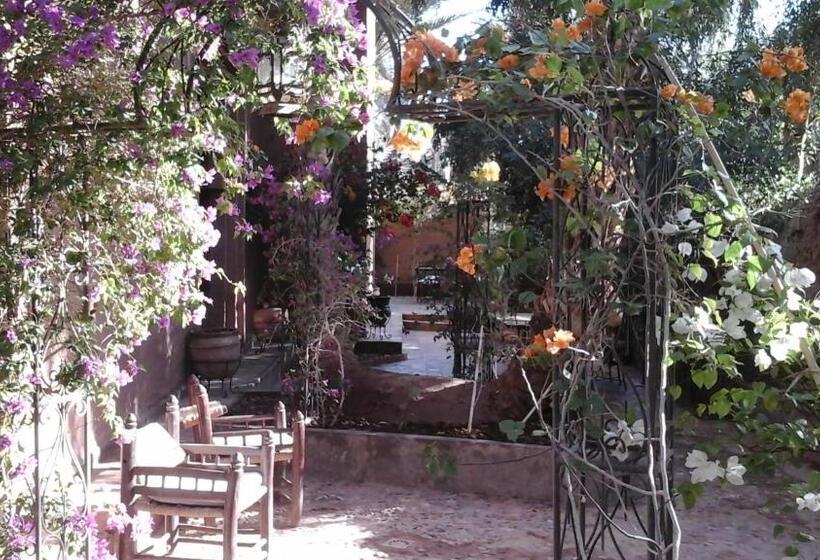 민박 Dar Nakhla Zagora Guest House