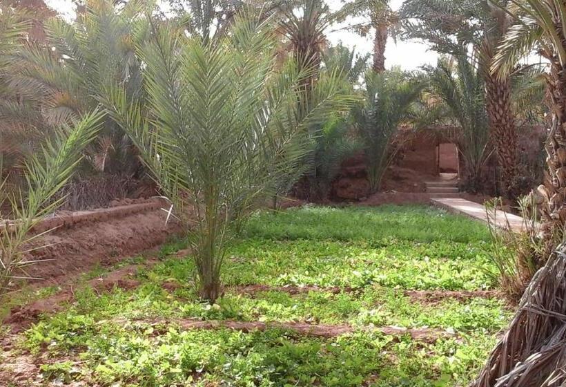 تختخواب و صبحانه Dar Nakhla   Zagora Guest House