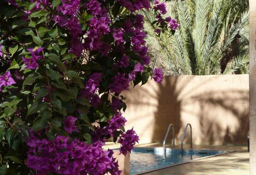 تختخواب و صبحانه Dar Nakhla   Zagora Guest House