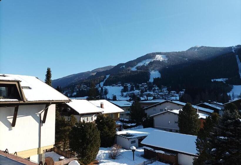 Frühstückspension Appartementhaus Wasserer