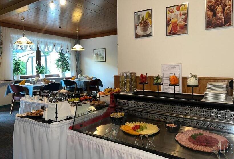 Frühstückspension Appartementhaus Wasserer