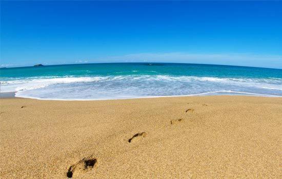 Nautilus Beachfront Villas & Spa