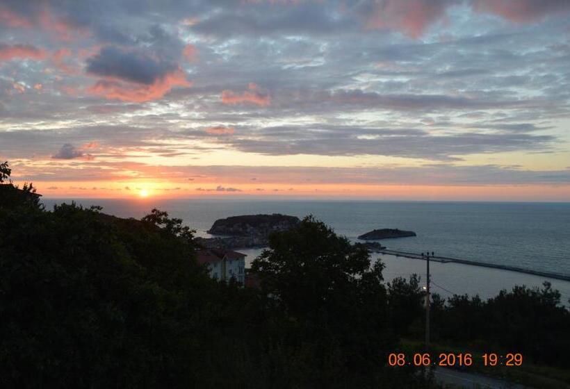 بنسيون Amasra Ceylin Otel