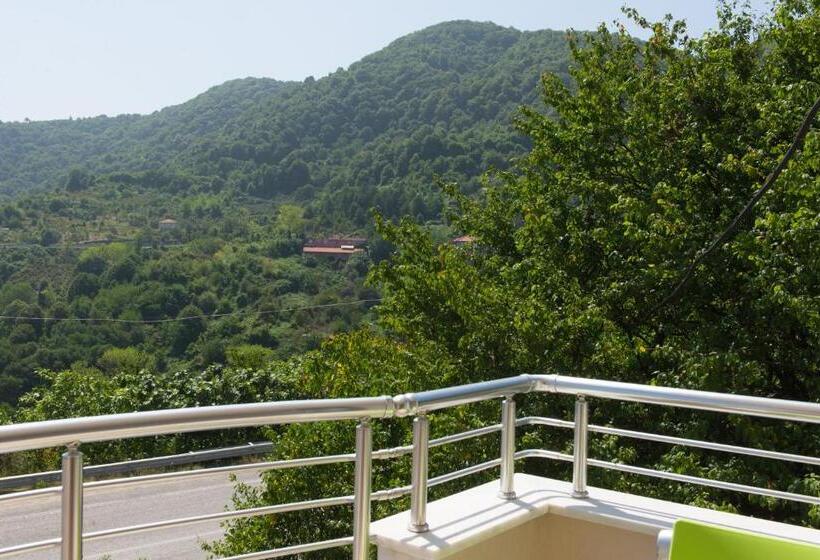 ペンション Amasra Ceylin Otel