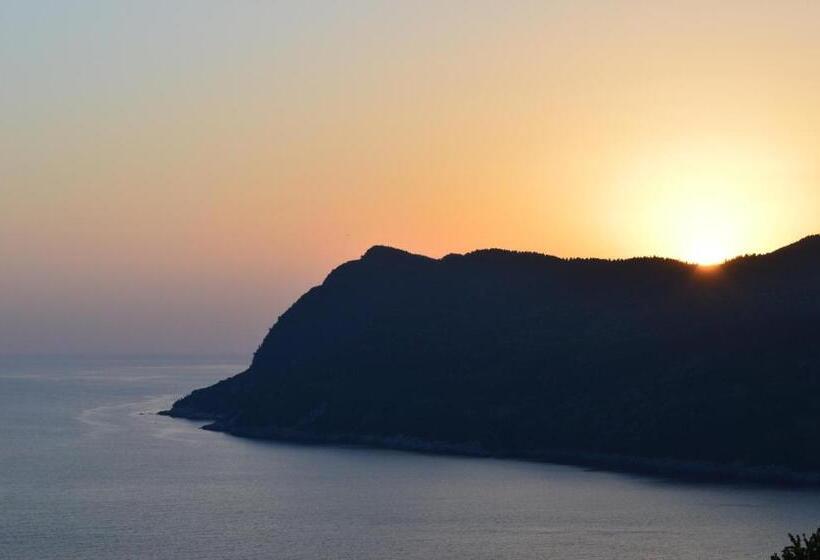 بنسيون Amasra Ceylin Otel