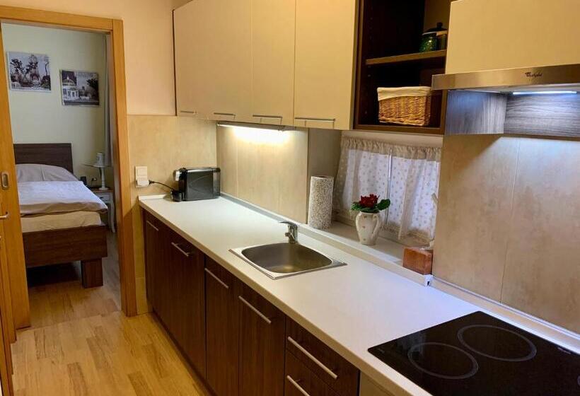 膳宿费 Park   2 Izbové Apartmány Na Prenájom