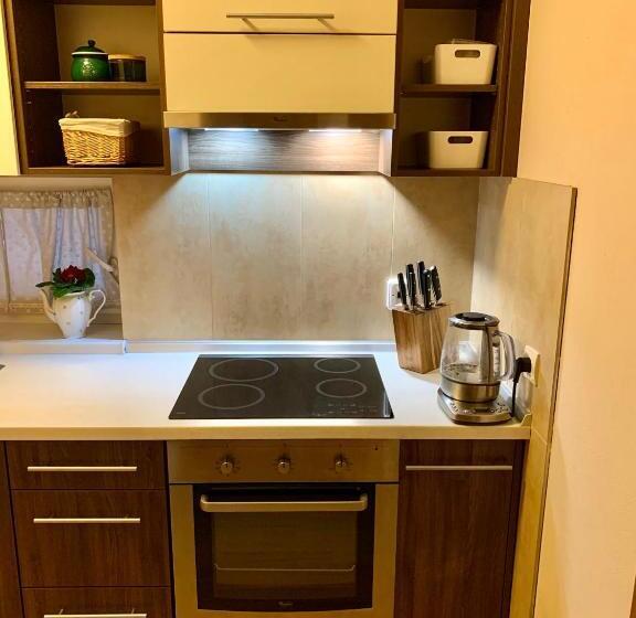 膳宿费 Park   2 Izbové Apartmány Na Prenájom