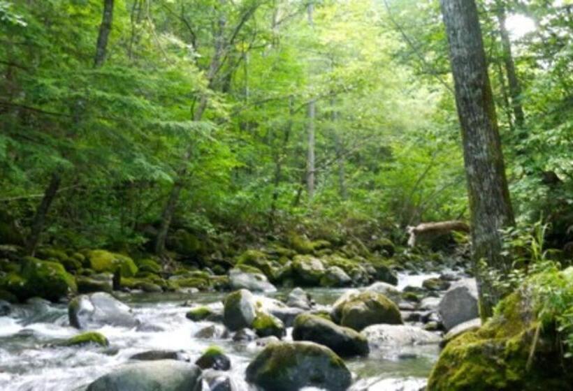 ペンション 乗鞍高原の宿テンガロンハットb&btengallonhat