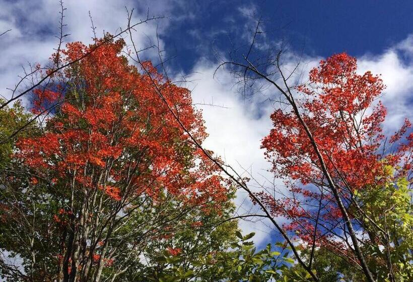 ペンション 乗鞍高原の宿テンガロンハットb&btengallonhat