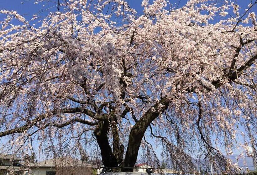 ペンション 乗鞍高原の宿テンガロンハットb&btengallonhat