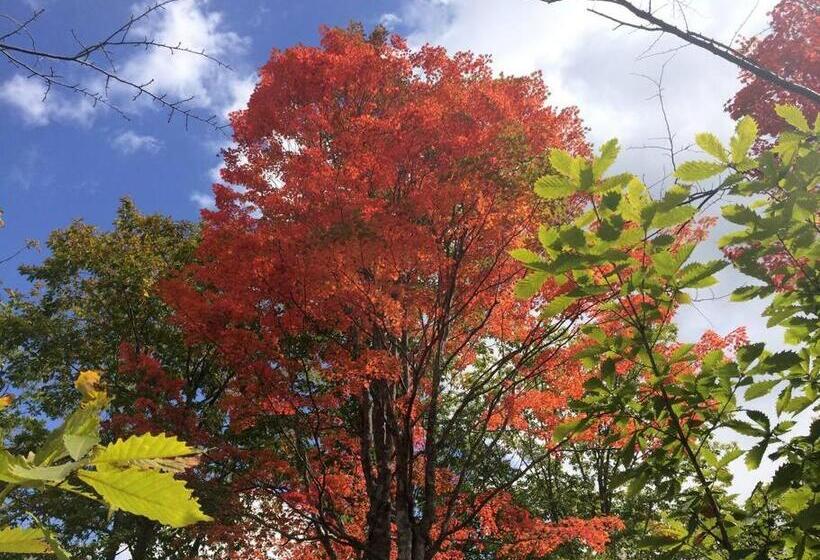 ペンション 乗鞍高原の宿テンガロンハットb&btengallonhat