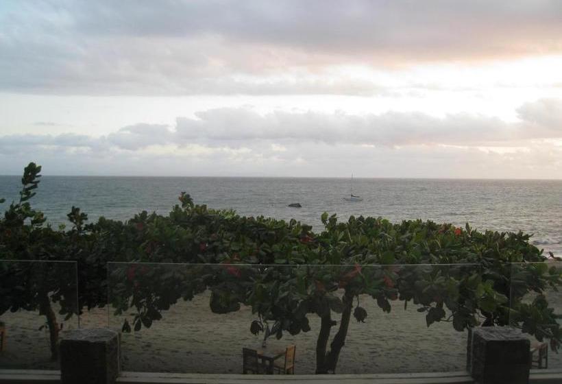 פנסיון Cafe Alberto B And B