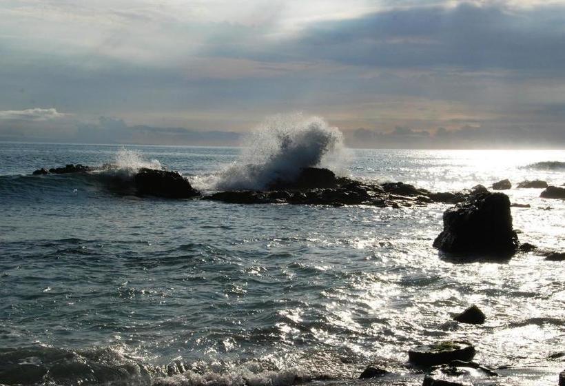 פנסיון Cafe Alberto B And B