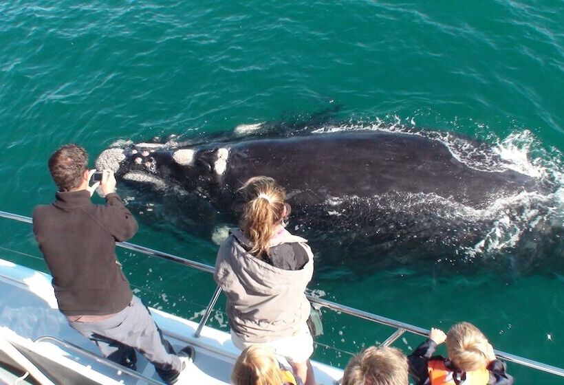 بنسيون Cube Guest House