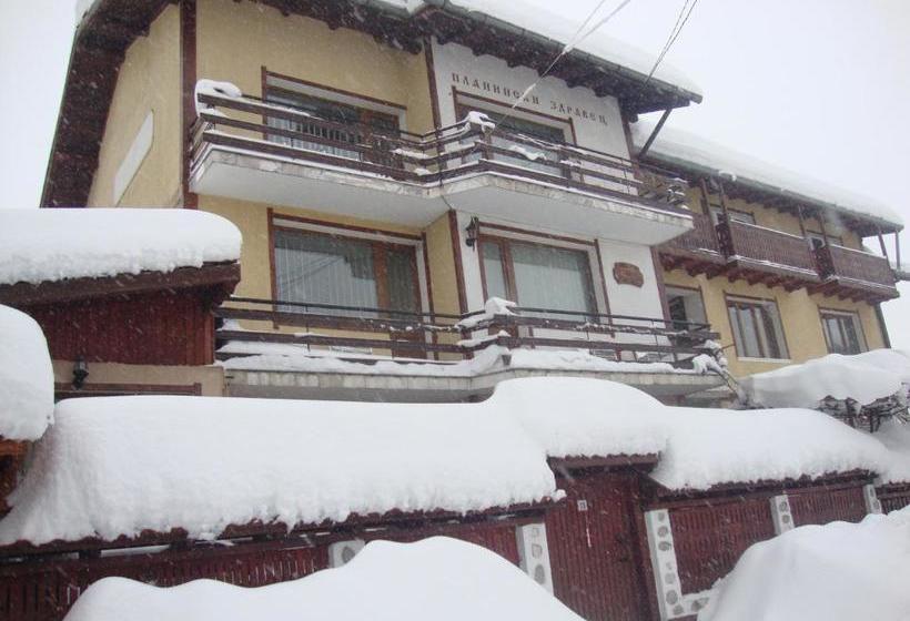 Пансион Guest House Planinski Zdravets
