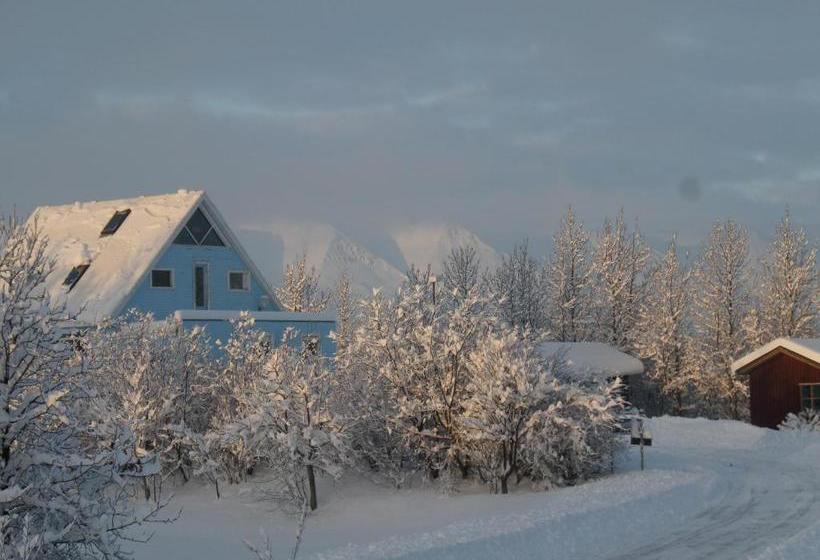 پانسیون Guesthouse Pétursborg