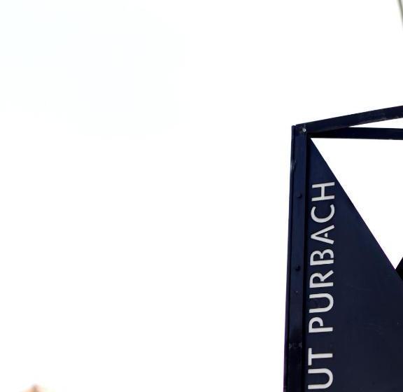 膳宿费 Gut Purbach