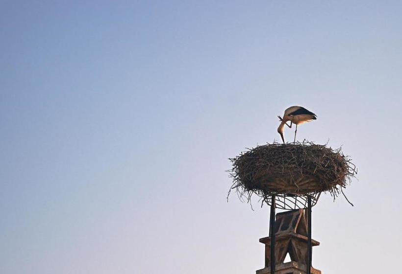 膳宿费 Gut Purbach