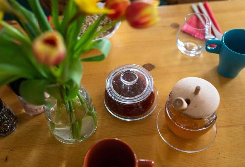 پانسیون Hotýlek U Kance