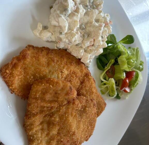 پانسیون Hotýlek U Kance