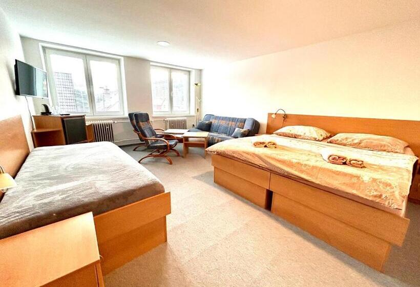 پانسیون Hotýlek U Kance