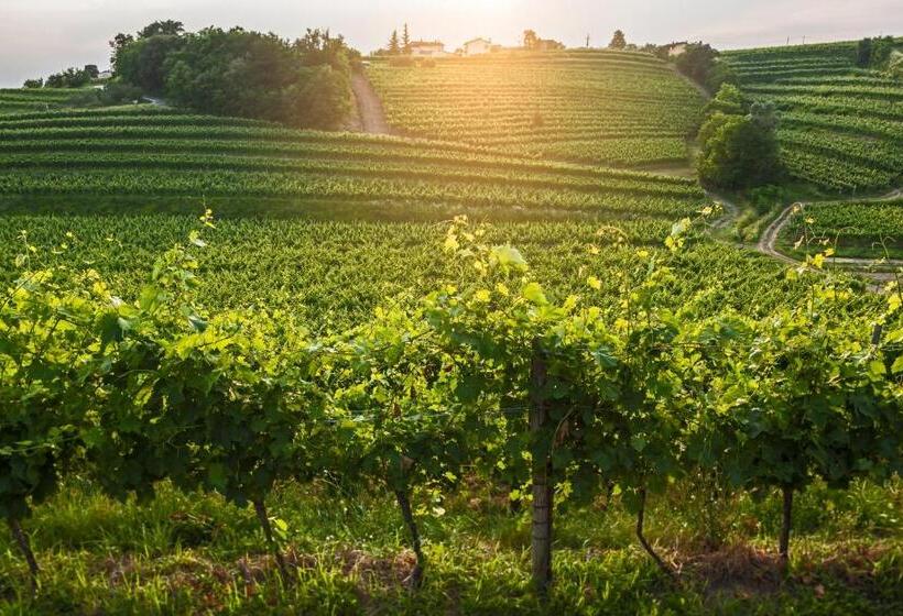 پانسیون Kabaj Wine & Dine