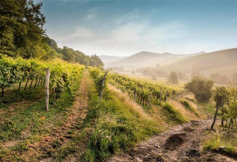 پانسیون Kabaj Wine & Dine