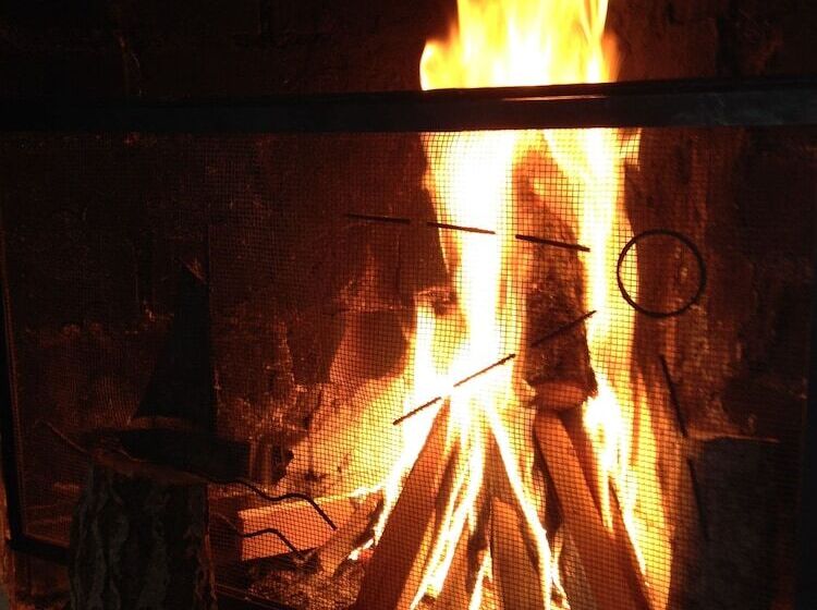 פנסיון L Floras Trädgård