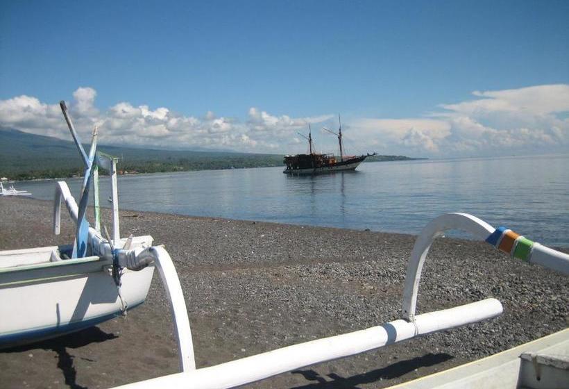 פנסיון Lucky Paradise Bungalows On The Beach
