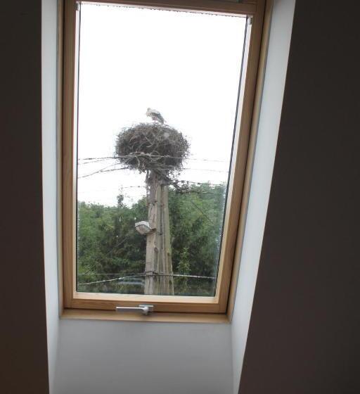 פנסיון Paulay Borház és Vendégház