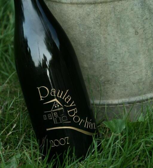 פנסיון Paulay Borház és Vendégház