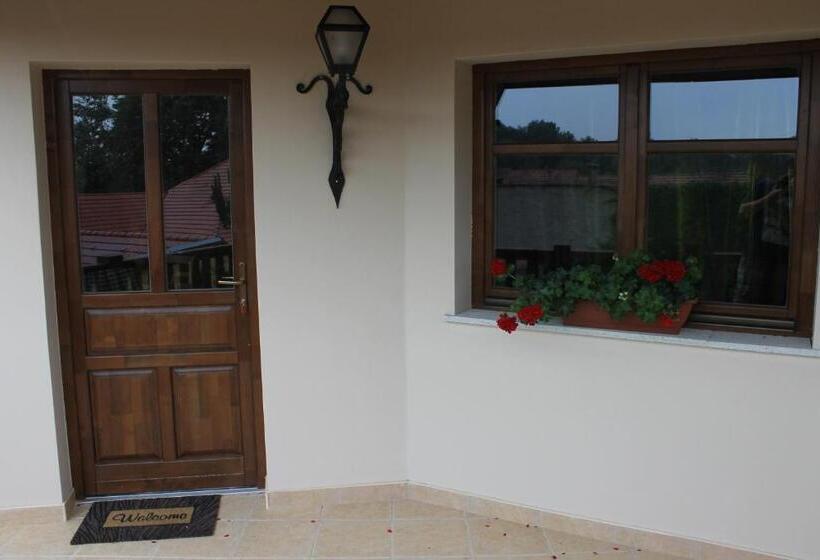 פנסיון Paulay Borház és Vendégház