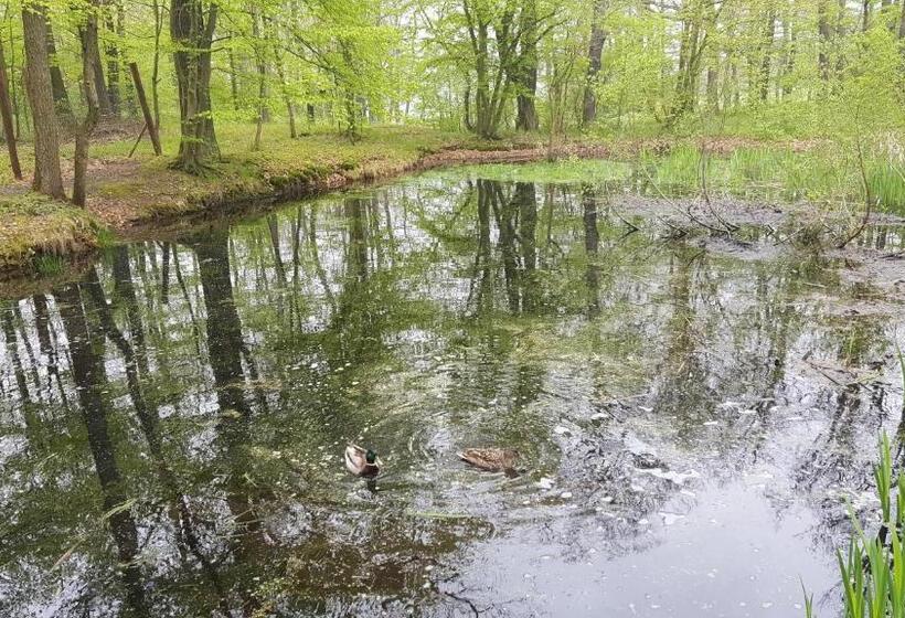 Пансион Penzion A Restaurace Nad Hradem