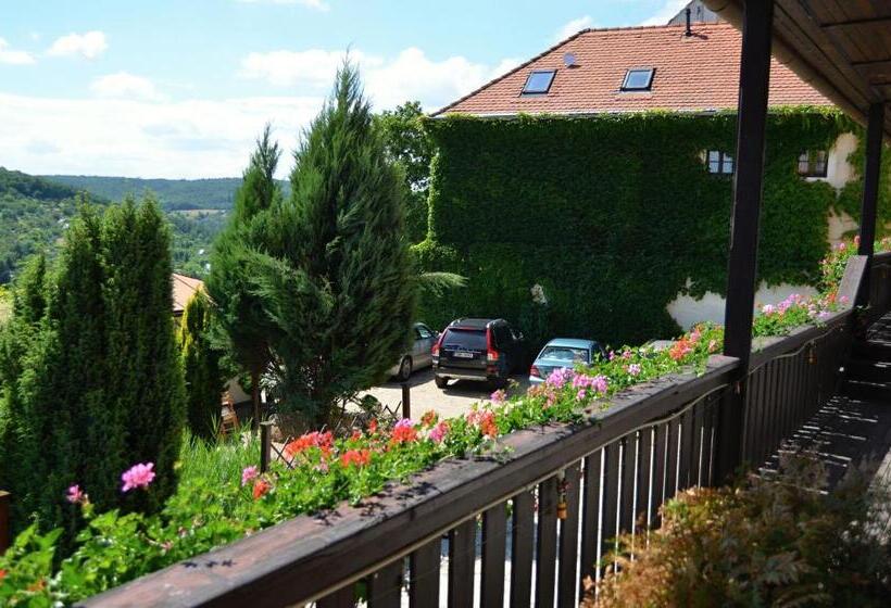 پانسیون Penzion Kaplanka