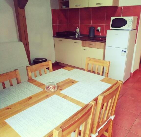 بنسيون Penzion U Dvojice