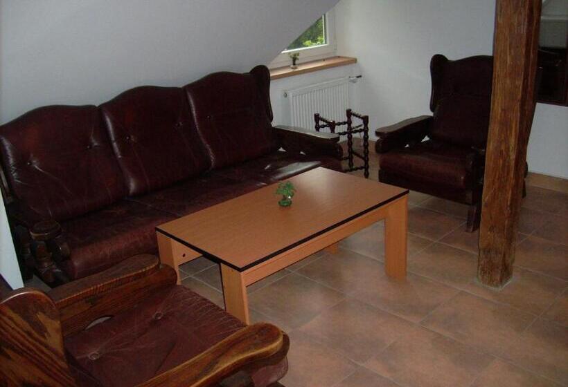 بنسيون Penzion U Dvojice