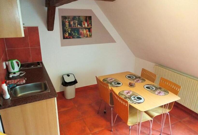 بنسيون Penzion U Dvojice