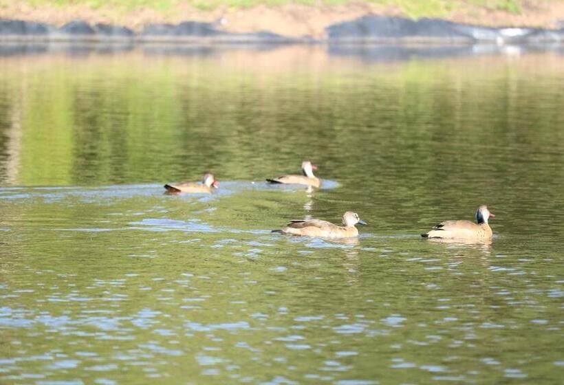 펜션 Pousada Pinhal Alto