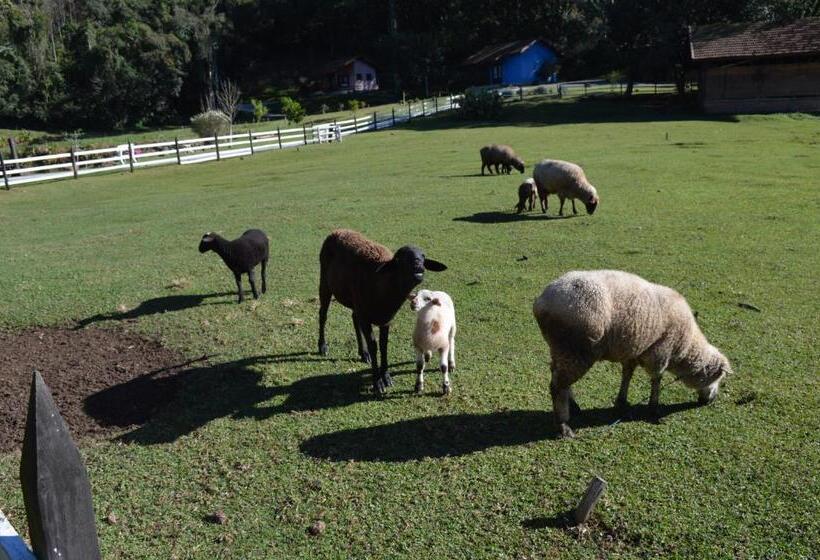 펜션 Pousada Pinhal Alto