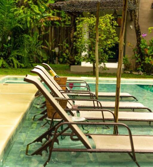 پانسیون Pousada Raízes Do Brasil