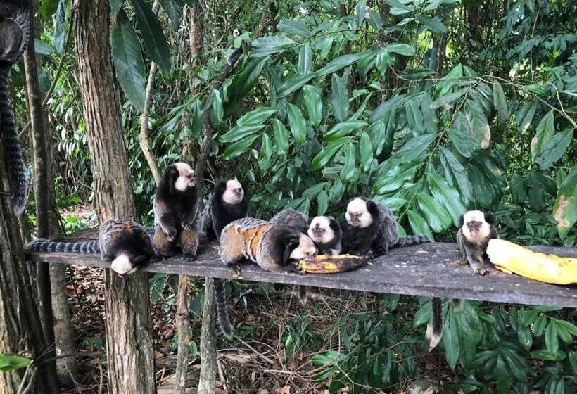 پانسیون Pousada Recanto Trancoso