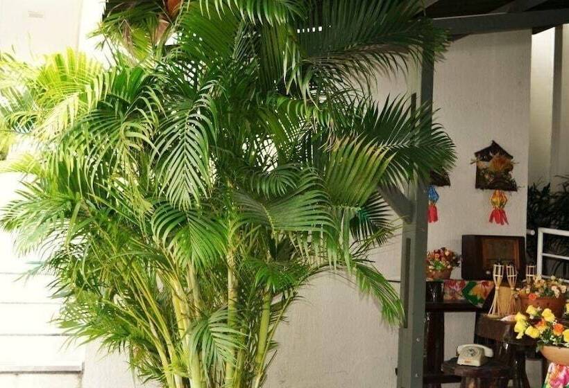 פנסיון Pousada Varandas Do Penedo