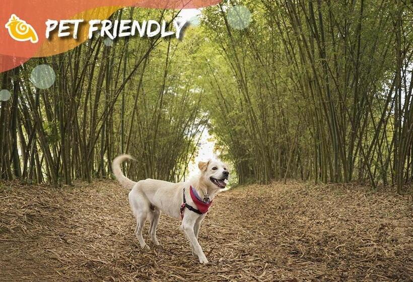 Пансион Refúgio Do Rio Bonito