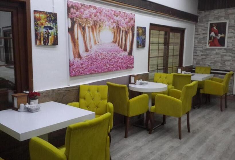 پانسیون Sehrizade Konagi