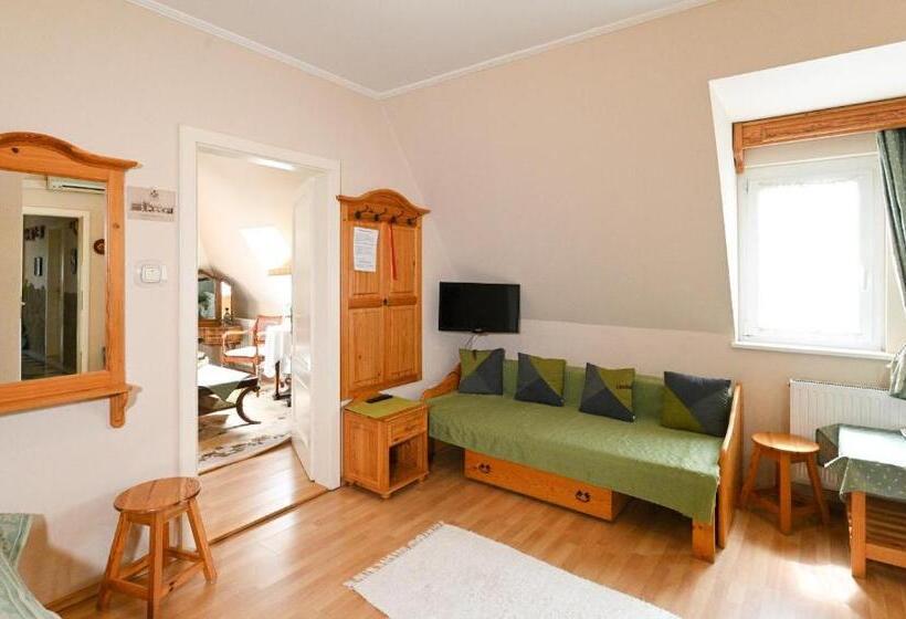 پانسیون Szt. Flórián Vendégház